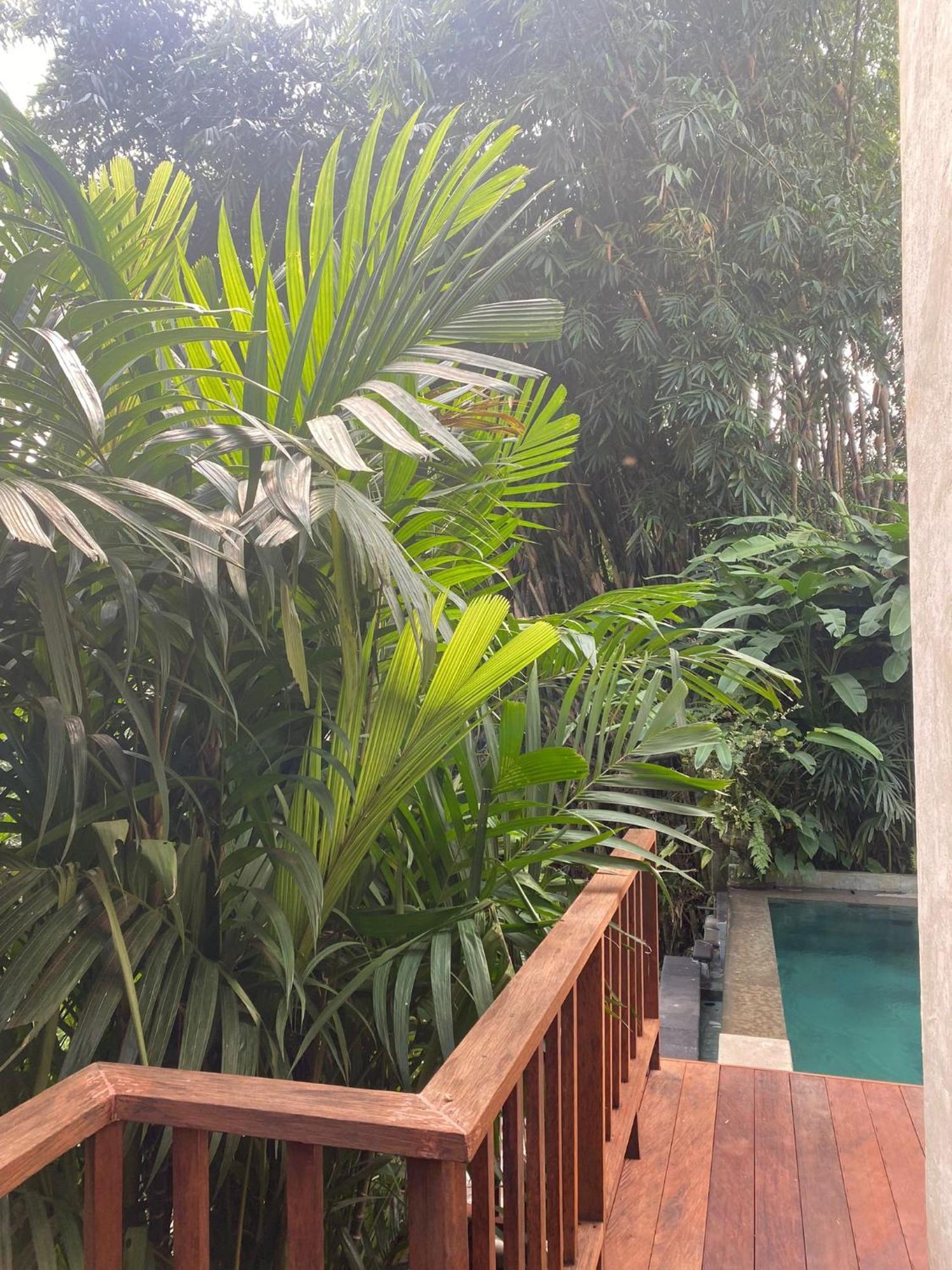 Villa Purnamasari อูบุด ภายนอก รูปภาพ